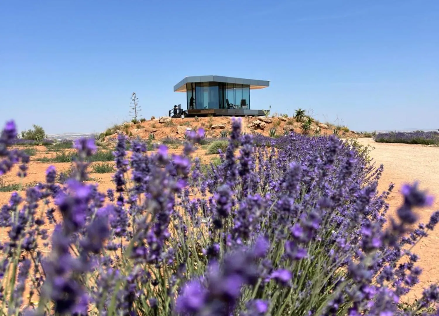 La Casa Del Desierto Villa Gorafe Holiday home